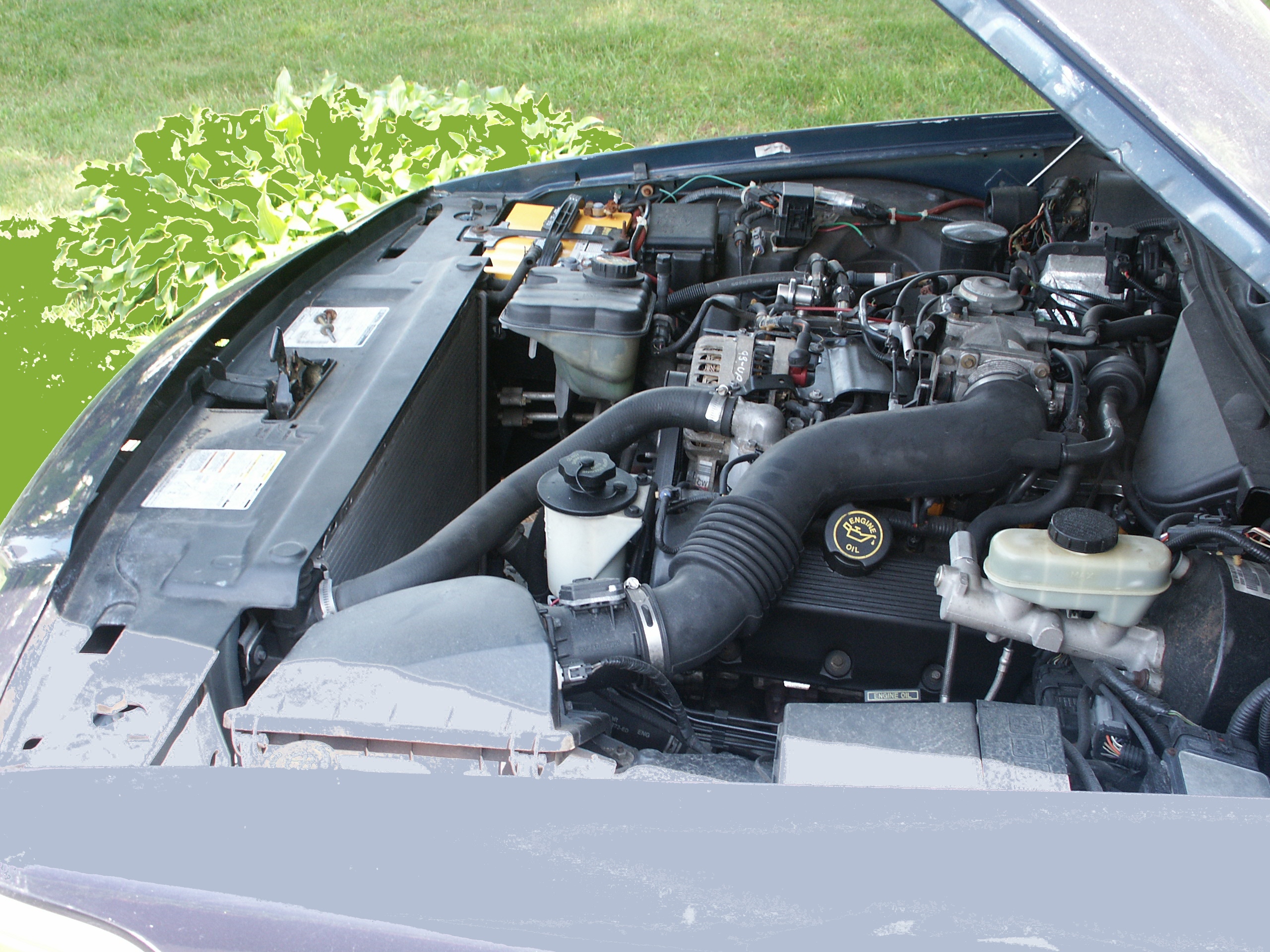Radiator Fan w/ Control Module fits 06-11 Crown Victoria Grand Marquis Town Car